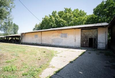 Spațiu industrial, de 3,139 mp, în Răducăneni - 6