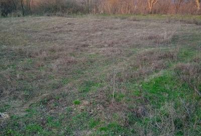 Casă cu 3 camere în Pometești - 3