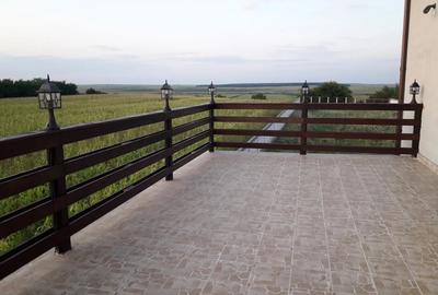 Proprietar. Vand vila DP1M + teren 5.000m intravilan - 9