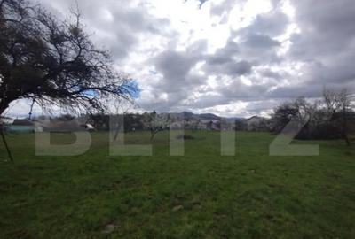 Casă cu 4 camere cu Teren 7500 Mp în Central - 4