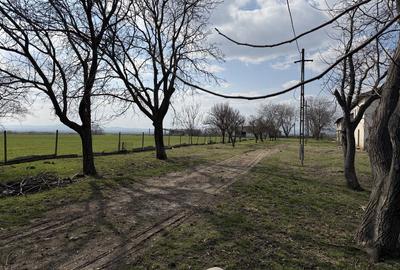 Teren de 130000 mp, în Armeni - 5