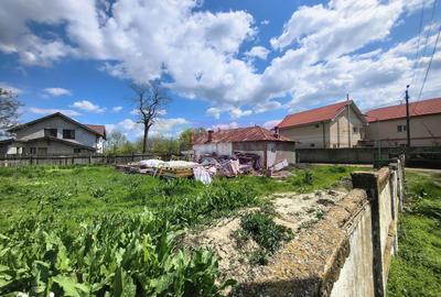 Teren de 975 mp, în Cernica - 16