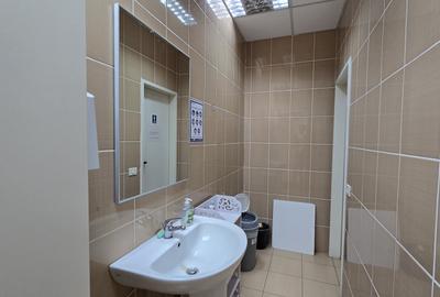 Birou, de 360 mp, în Cișmigiu - 8