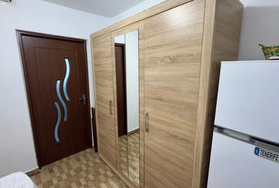 Apartament cu 2 camere decomandat, mobilat în Lujerului - 11