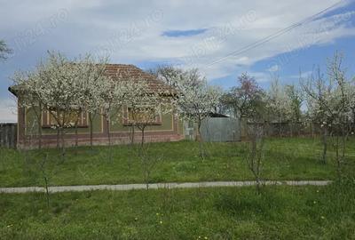 Casa la tara