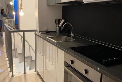 Apartament cu 4 camere decomandat, mobilat în P-ța Romană - 14