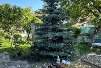 Apartament 3 camere la casa cu gradina si curte generoasa - 4