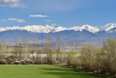 Teren agricol extravilan de 10000 mp, în Bradu - 1
