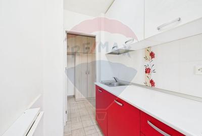 Apartament luminos de vanzare 2 camere, gata de mutat, zona Lujerului - 10