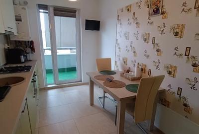 Apartament cu 2 camere decomandat în Turnișor - 14