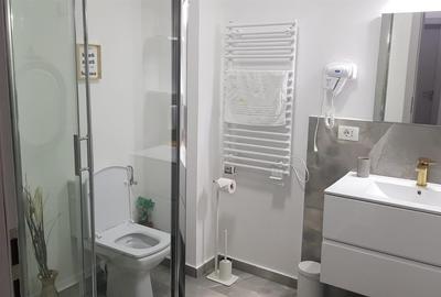 Reco Apartament  Baile Felix in Regim Hotelier Reco Apartament  Baile Felix in Regim Hotelier - 10