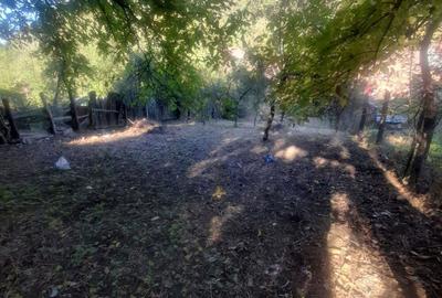 Teren de 797 mp, în Gura Râului - 3