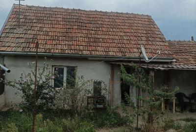Casă cu 2 camere cu Teren 1100 Mp în Curtici - 9