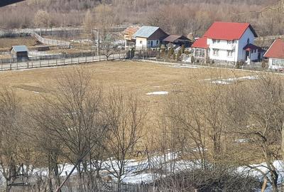 Teren de 10200mp,intravilan , cu deschidere la asfalt - 5