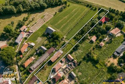 Spațiu comercial, în Catalina - 12