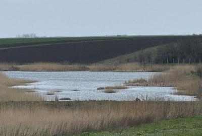 Spațiu comercial, în Pasărea