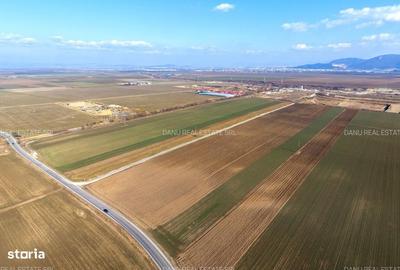 Teren de 19239 mp, în Vulcan - 6