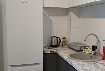 Apartament 2 camere de lux – Lake One Mamaia •450 euro - 10