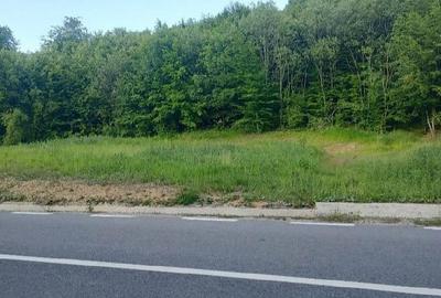 Teren de 9500 mp, în Zece Hotare