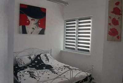 Apartament cu 2 camere decomandat în Exterior Vest - 10