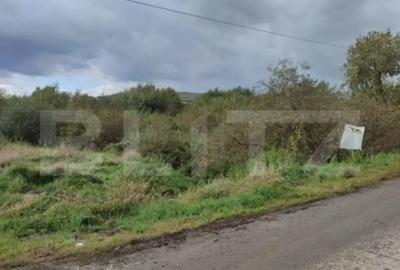 Teren de 7000 mp, în Central - 3