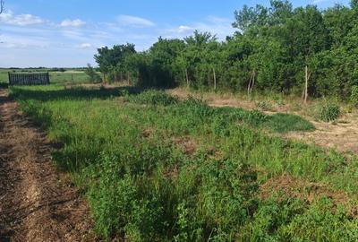 Casă cu 3 camere cu Teren 3000 Mp în Central - 16