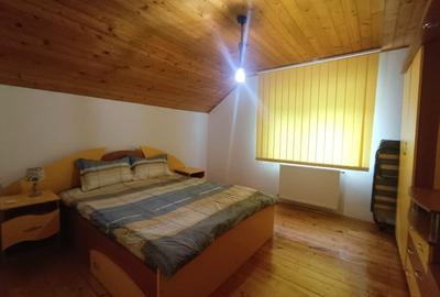 Casă individuală cu 7 camere cu Canalizare în Valea Mănăstirii - 4