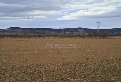 Teren de 5000 mp, în Avrig