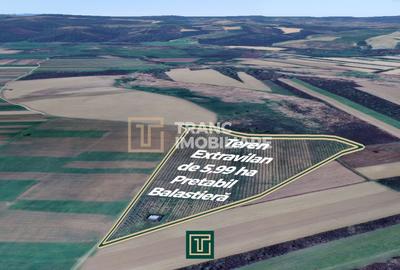 Teren extravilan de 59900 mp, în Ususău - 4