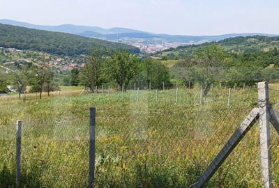 Teren extravilan de 1000 mp, situat pe strada Ghinzii - 4