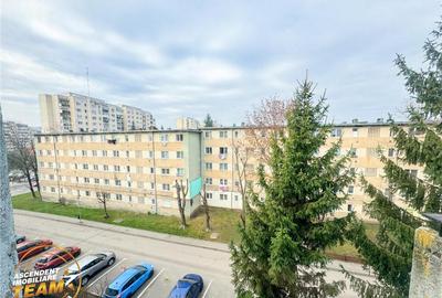 Camin primitor si luminos, 2 camere, terasa, facilitati, Sim - 5