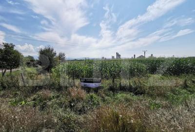 Teren intravilan, 24 arii, iesire la doua drumuri, Jelna - 2