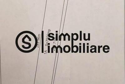 Teren Intravilan Carcea - 3