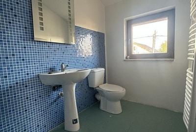 Casa individuala cu 10 camere si piscina, in Dumbravita - ID V5614 Casa individuala cu 10 camere si piscina, in Dumbravita - ID V5614 - 15