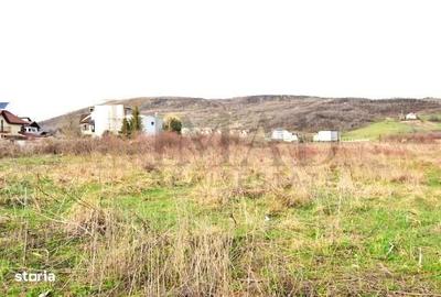 Teren de 3700 mp, în Aninoasa - 4