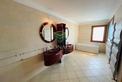 Iancu Nicolae, vila de inchiriat, 5 camere - 15