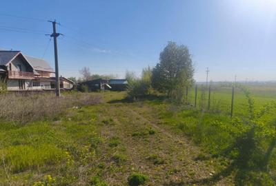 Teren de 2500 mp, în Rădăuți - 4