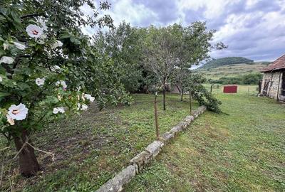 Casă cu 2 camere în Cornești - 1