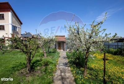 Casă cu 3 camere cu Teren 1251 Mp în Săucești - 8