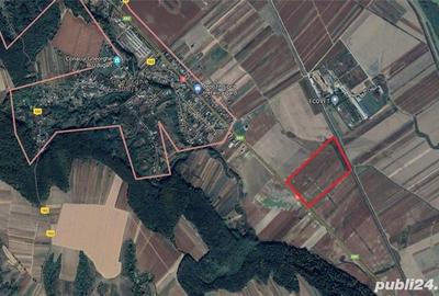 Teren de 200000 mp, în Gheorghe Doja - 1