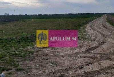 Teren de 369 mp, în 1 Decembrie - 2