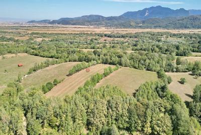 Teren intravilan, priveliste deosebita - 10