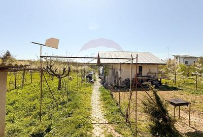 Casă cu 7 camere cu Teren 1592 Mp în Bălteni - 11