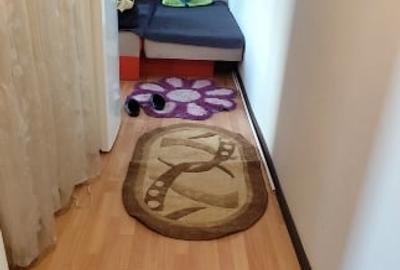 Casa de cultura,garsonieră de închiriat,termen lung.Pret 250euro - 16