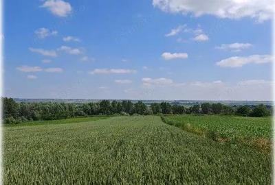 Teren extravilan Bosanci, ID: R2649420 - 6