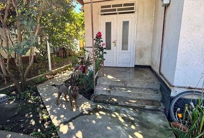 Casă cu 3 camere în Vălcani - 9