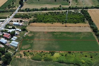 Teren Constructii Intravilan 4750mp SABARENI - 0% COMISION - 3