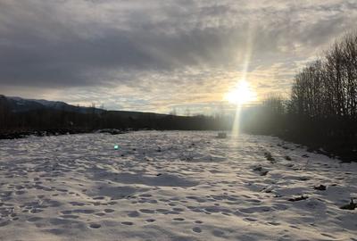 Teren intravilan | 2000 mp | de vanzare- Valea Avrigului - 5