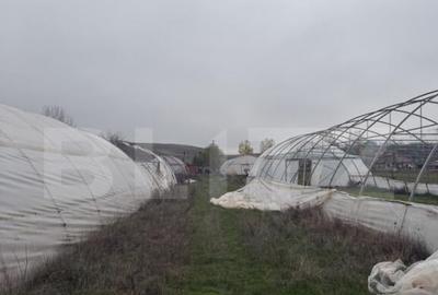 Teren intravilan agricol, sere, anexa agricola, 11500 mp ter - 4