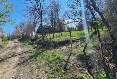 Teren de 5407 mp, în Valea Mică - 3